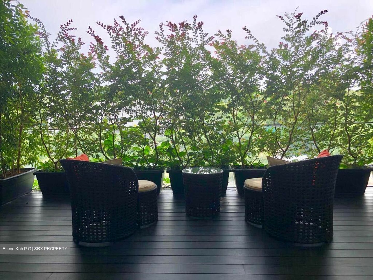 8 Napier (D10), Condominium #371013981